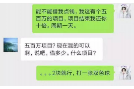 台山台山的要账公司在催收过程中的策略和技巧有哪些？